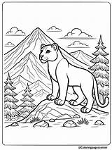 9 Free Printable Mountain Lion Coloring Pages sketch template