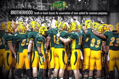 Pin by Maureen Knoll on NDSU Bison Football | Ndsu bison football, Bison football, Home team