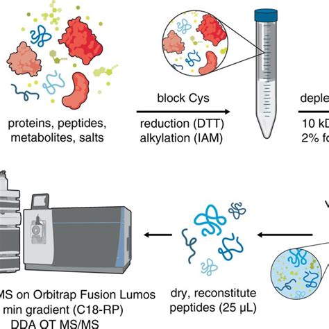 LC–MS/MS analysis of banked urine samples from patients with... | Download Scientific Diagram