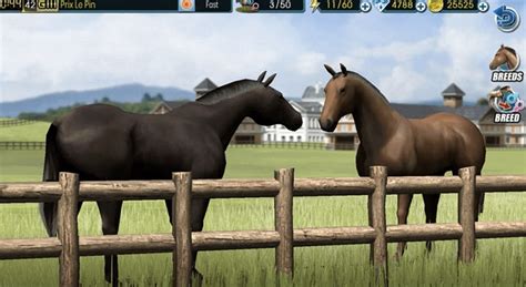 Quick starter guide to Champion Horse Racing - Realistic Simulation ...