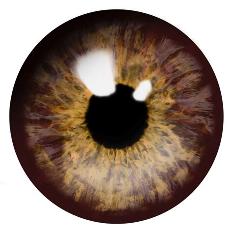 Eye PNG Download Image | PNG Arts