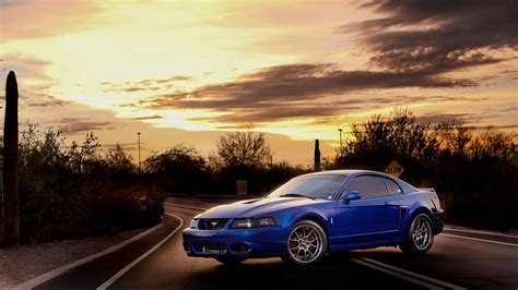 Mustang Cobra Wallpaper