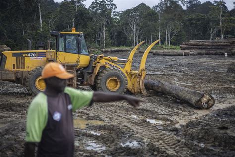 Climate Change Prevention Could Bring Big Payday for Gabon