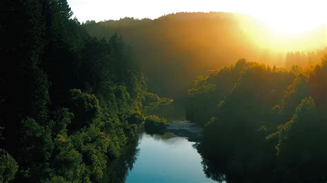 Russian River Redwoods | Save the Redwoods League