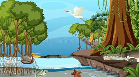 Mangrove Cartoon Stock Illustrations – 514 Mangrove Cartoon Stock Illustrations, Vectors ...