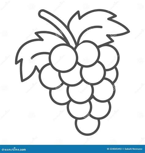 Bunch of Grapes Thin Line Icon, Fruits and Berries Concept, Cluster of Grapes Vector Sign on ...