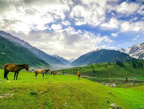 Kashmir Honeymoon Tour Packages, Book Kashmir Honeymoon Holiday Packages