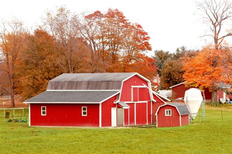 Red Barn In Autumn Field Free Stock Photo - Public Domain Pictures