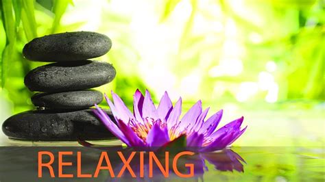 Relaxing Music, Zen Music, Reiki Healing Music, Sleeping Music ...