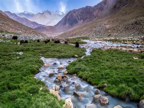 Nubra Valley – an incredibly beautiful cold desert | Times of India Travel