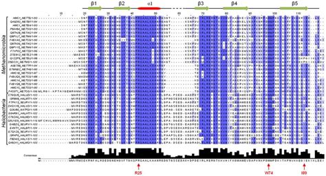 Sequence alignment of MC1 from Methanosarcina thermophila (HMC1_METTE)... | Download Scientific ...