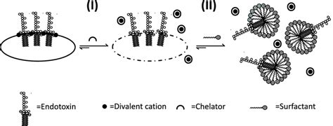 A proposed two-step mechanism of endotoxin masking. Potential ...