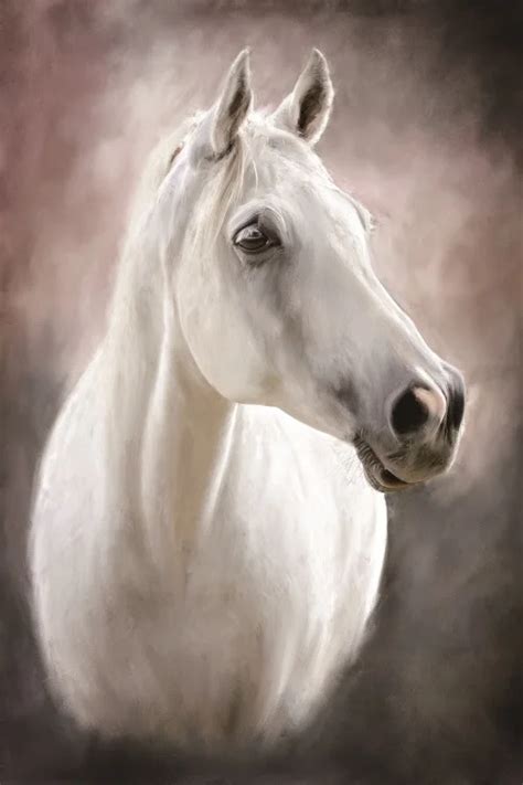 Modern Oil Painting Art Black White Horse Painting HD Print Canvas ...