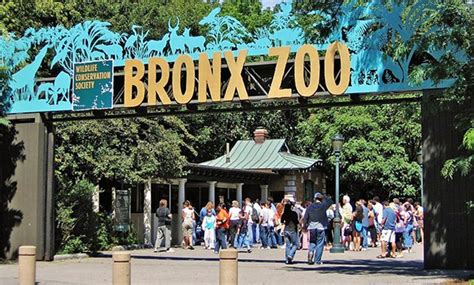 Bronx Zoo | ubicaciondepersonas.cdmx.gob.mx