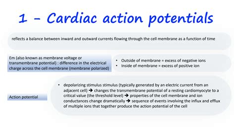 SOLUTION: Ecg beginners - Studypool