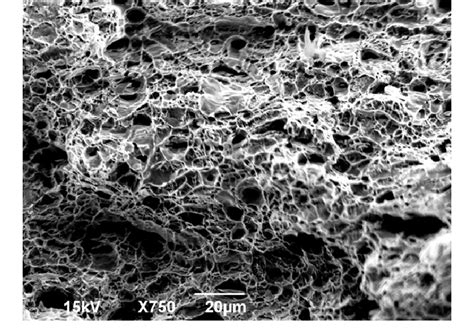 SEM micrograph of ductile fracture surface of specimen 7. | Download ...