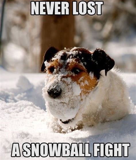 snowball fight. | Funny stuff | Pinterest