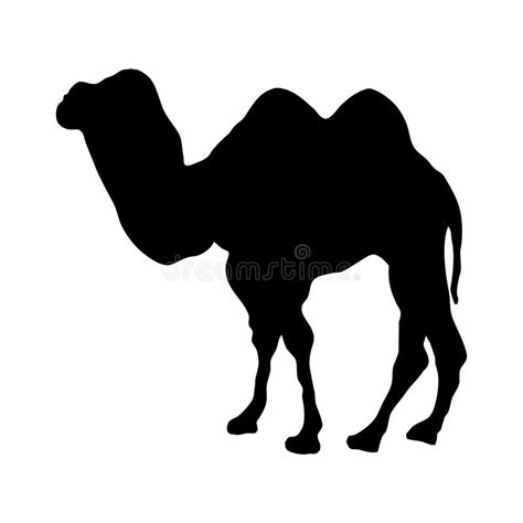 Black Silhouette of a Camel on a White Background. Stock Vector ...