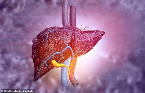 Liver and lung disease may be reversible, study suggests | Daily Mail Online