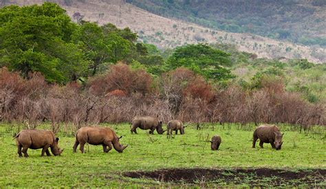 Ngorongoro Crater Day Trip - African Big Cats Safaris