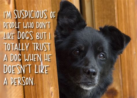 I’m suspicious of people who don’t like dogs but I totally trust a dog ...