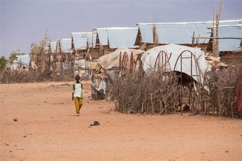 Refugee Camps: Temporary Solutions to Long-Term Problems