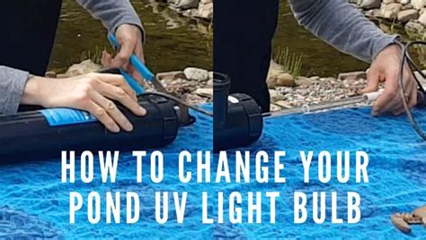 How To Change A Pond UV Light Bulb - Backyard Water Garden