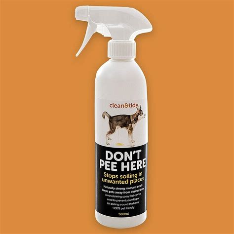 Best Dog Urine Cleaner at Anthony Campbell blog