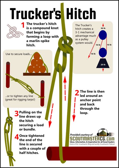 Truckers Hitch Infographic - Prepography | Survival knots, Camping ...