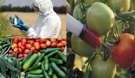 The risks of chemical pesticides - HGI Exchange