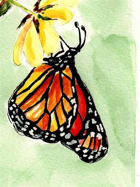 spazs monarch | Butterfly watercolor, Butterfly art painting ...