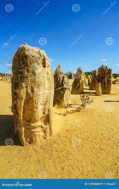 Pinnacles of Nambung National Park in the Morning, Western Australia 24 ...