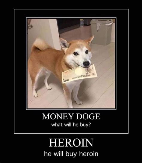 Money Doge, What Will He Buy? | X in the Y, What Will He Do? | Know ...