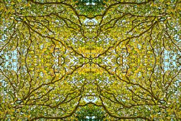 Kaleidoscope - Photography