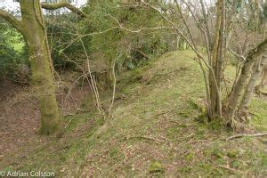 The restoration of Wooston Castle – A Dartmoor blog