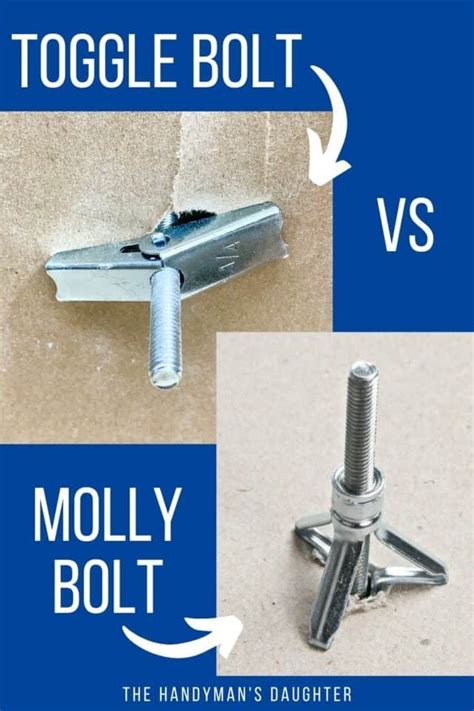 Molly Bolts vs Toggle Bolts - Which Should I Use? - The Handyman's Daughter