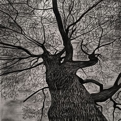 ArtStation - Charcoal Tree Drawing