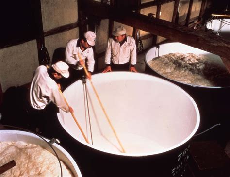 The Sake-Making Process | Sake Culture