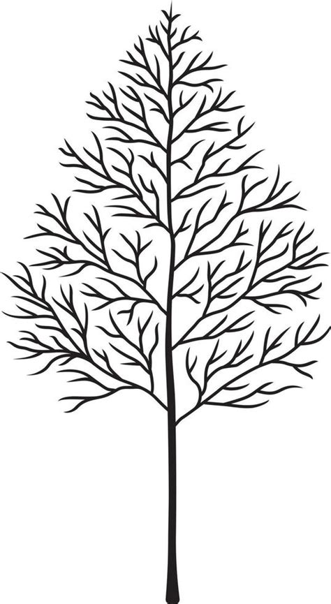 Leafless tree vector 4692484 Vector Art at Vecteezy