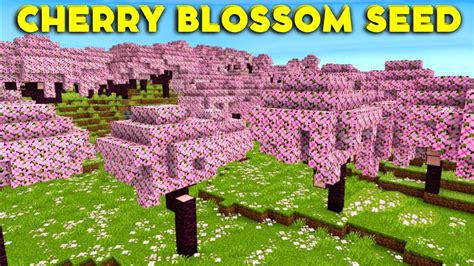 🌸(1.20 GOD SEED) CHERRY BLOSSOM MINECRAFT 1.20 SEED! Best Minecraft 1. ...