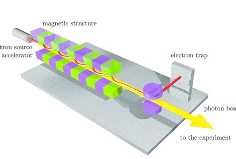 X Ray Free Electron Laser