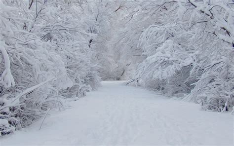 snowy snow - Winter Photo (34209346) - Fanpop