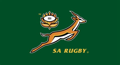 Springboks Rugby Logo