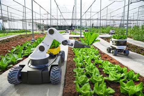 Robotic Gardening System | Fasci Garden