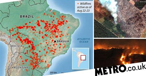 Map shows huge scale of fires ravaging Amazon rainforest | Metro News