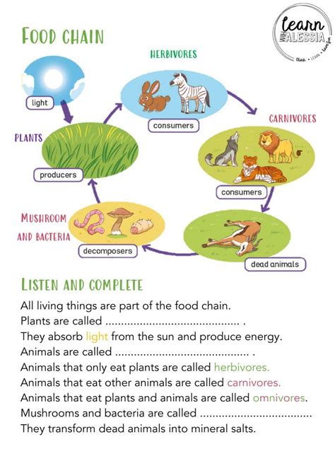 Food chain interactive worksheet | Live Worksheets - Worksheets Library