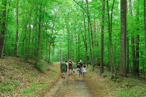 Hit The Trail! National Park Service Plans To Expand Trails At Prince William Forest Park