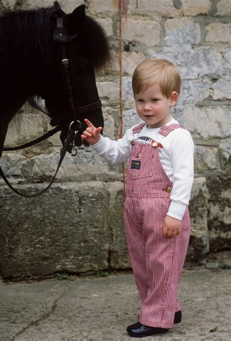 A young Prince Harry posed with with his pony, Smokey, in 1986. | Pictures of the British Royals ...