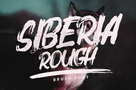 Siberia Rough ~ Display Fonts ~ Creative Market