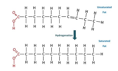 Pin on Lipids Foods